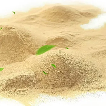 Celwand van Saccharomyces Cerevisiae